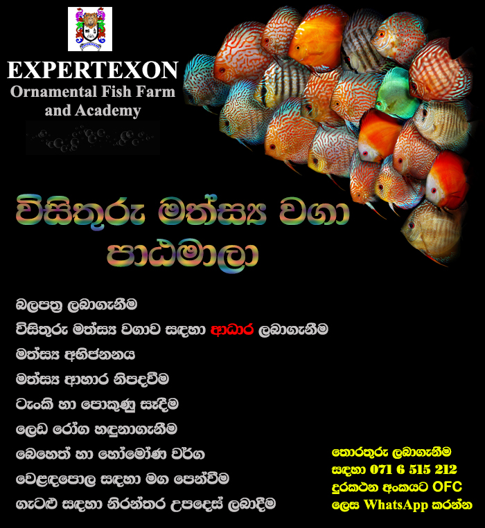 Ornamental Fish farming